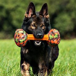 Major Dog Barbell