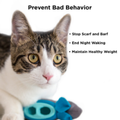 Alternative view of Doc and Phoebe Three Mice Indoor Hunting Kit