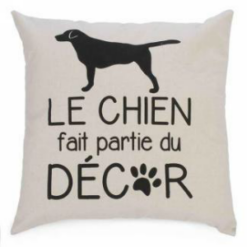 Le Chien fait partie du Decor