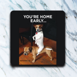 Your Home Early Jack Russell Coaster Set