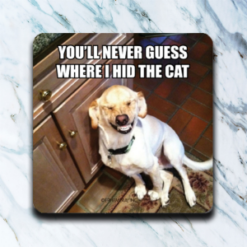 You'll Never Guess Where I Hid The Cat Coaster Set