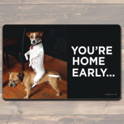 Your Home Early Felted Mat