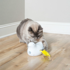 peekabird_ls_cat_7943