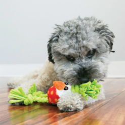Alternative view of Dots & Daisies Ropester for Small Dogs