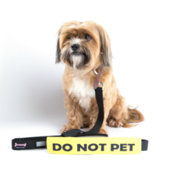 Do Not Pet Leash Talker