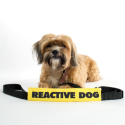 Reactive Dog Leash Talker