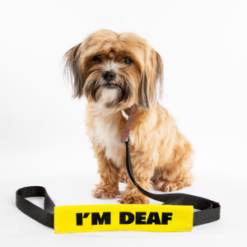 I'm Deaf Leash Talker