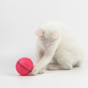 magic ball for cats