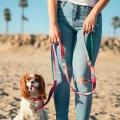 Alternative view of Pink Flamingo Silicone Dog Collar