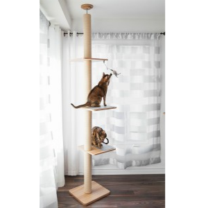 Evo Cat Tower with one cat playing with toy