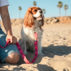 Alternative view of Pink Plaid Silicone Dog Collar