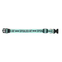 Alternative view of Spoiled AF Dog Collar Size XS/S
