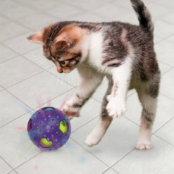 Cat playing with Bat-A-Bout Disco Ball by Kong