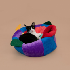 Tuxedo cat sitting in Balloonfish Cat Bed