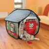 cat peeking out of Play Spaces Bungalow