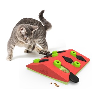 cat playing with orange Melon Madness cat toy