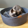 Dark Grey Cat Cuddler by Be One Breed with cat napping
