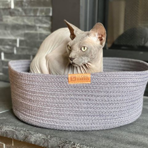 Dark Grey Cat Cuddler by Be One Breed with hairless cat