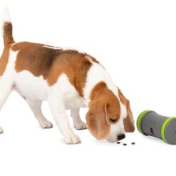 Dog playing with Kibble Chase Treat Dispenser