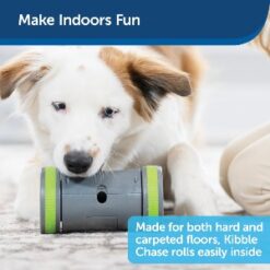 Make Indoors fun with Kibble Chase Roaming Treat Dispenser