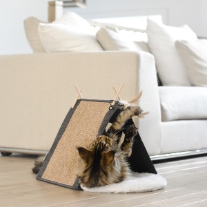 Deluxe Cat teepee with Cat playing with toy