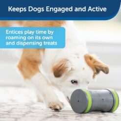 Kibble Chase Keeps dogs engaged and active