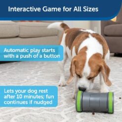 Instructions for Kibble Chase Roaming Treat Dispenser