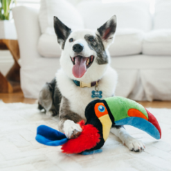 Fetching Flock Plush Dog Toy Collection dog playing with plush parrot