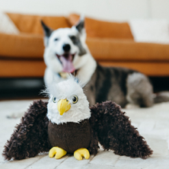 Smiling Dog with Plush Eagle