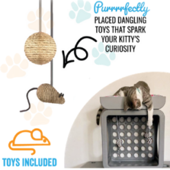 Kitty Kasas White Recreation Cube toys included