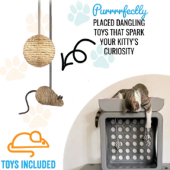 Kitty Kasas Teal Recreation Cube toys included