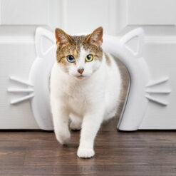 cat walking through cat door