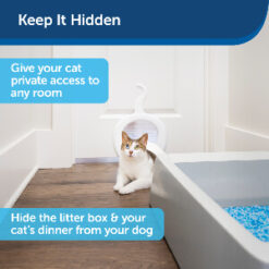 Cat Corridor with text