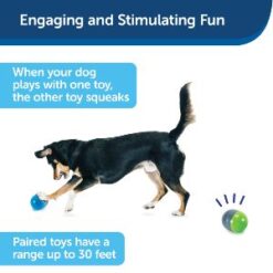 Engaging and fun Ricochet dog toy