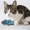 grey and white cat playing with mouse toy