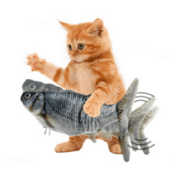 orange cat playing with a cat fish toy with a moving fish tail
