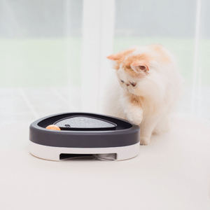 Sneak Attack Electronic Cat Toy by Instachew