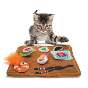 small cat with sushi mat