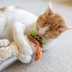 Shrimp Purrito Kicker and cat playing