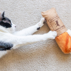 Tuna Baguette Kicker and cat
