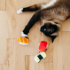 sassy sushi toy with cat playing