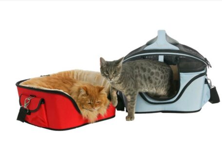 Cat Carriers