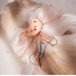 Alternative view of Teddy Bear Harness & Leash