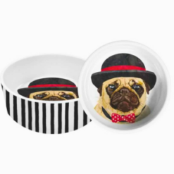 Hudson the Pug Dog Bowl