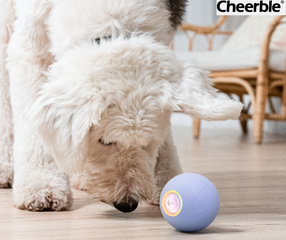 Wicked Ball SE by Cheerble - Image 4