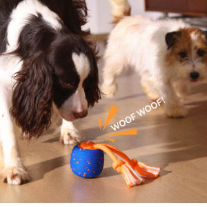Wicked Ball Rolly - Image 5