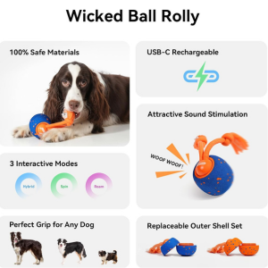 Wicked Ball Rolly - Image 2